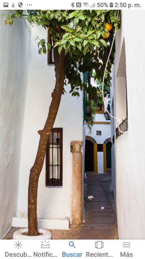 Perez De Castro Apartment Córdoba Exterior foto